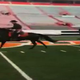 Illustration for article titled Here Are Videos Of Dez Bryant Racing A Horse In College